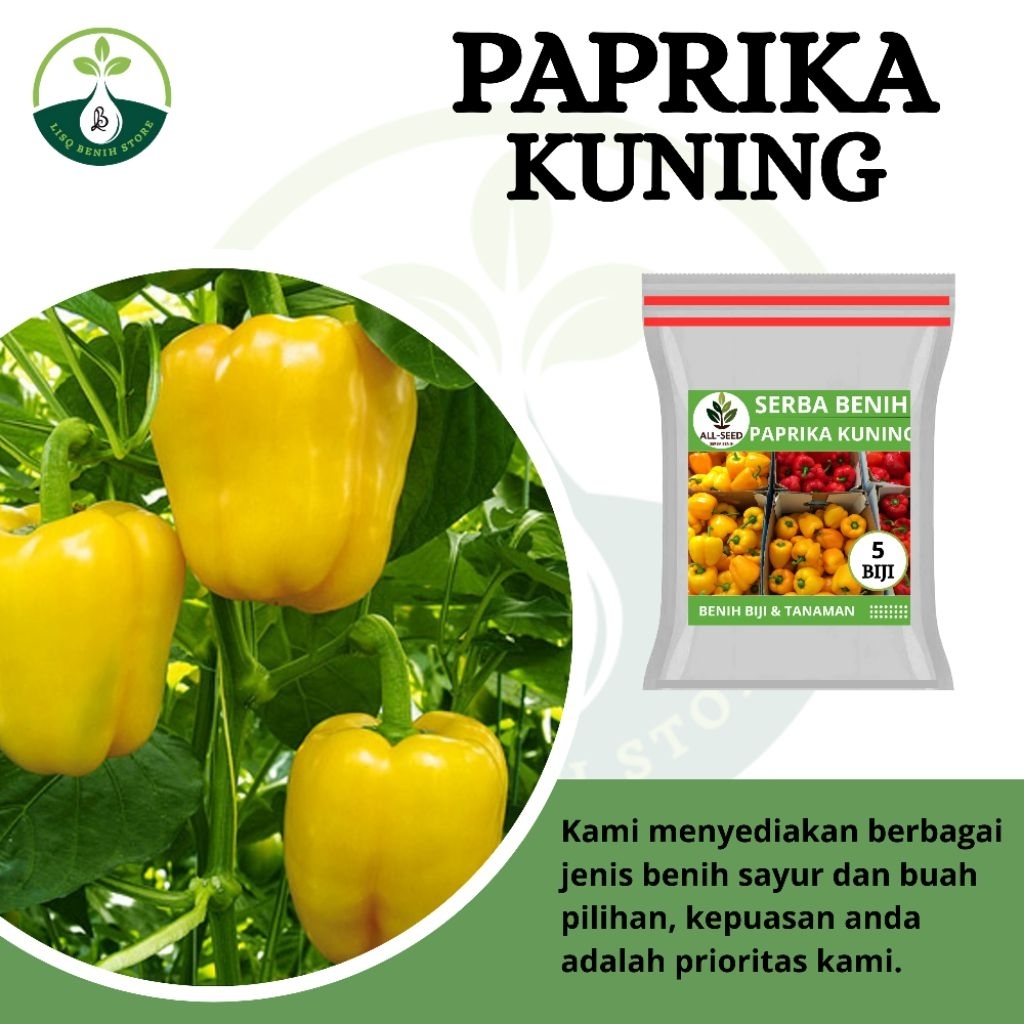 { 5 BIJI } Benih paprika kuning / bibit paprika / paprika kuning / cabe paprika