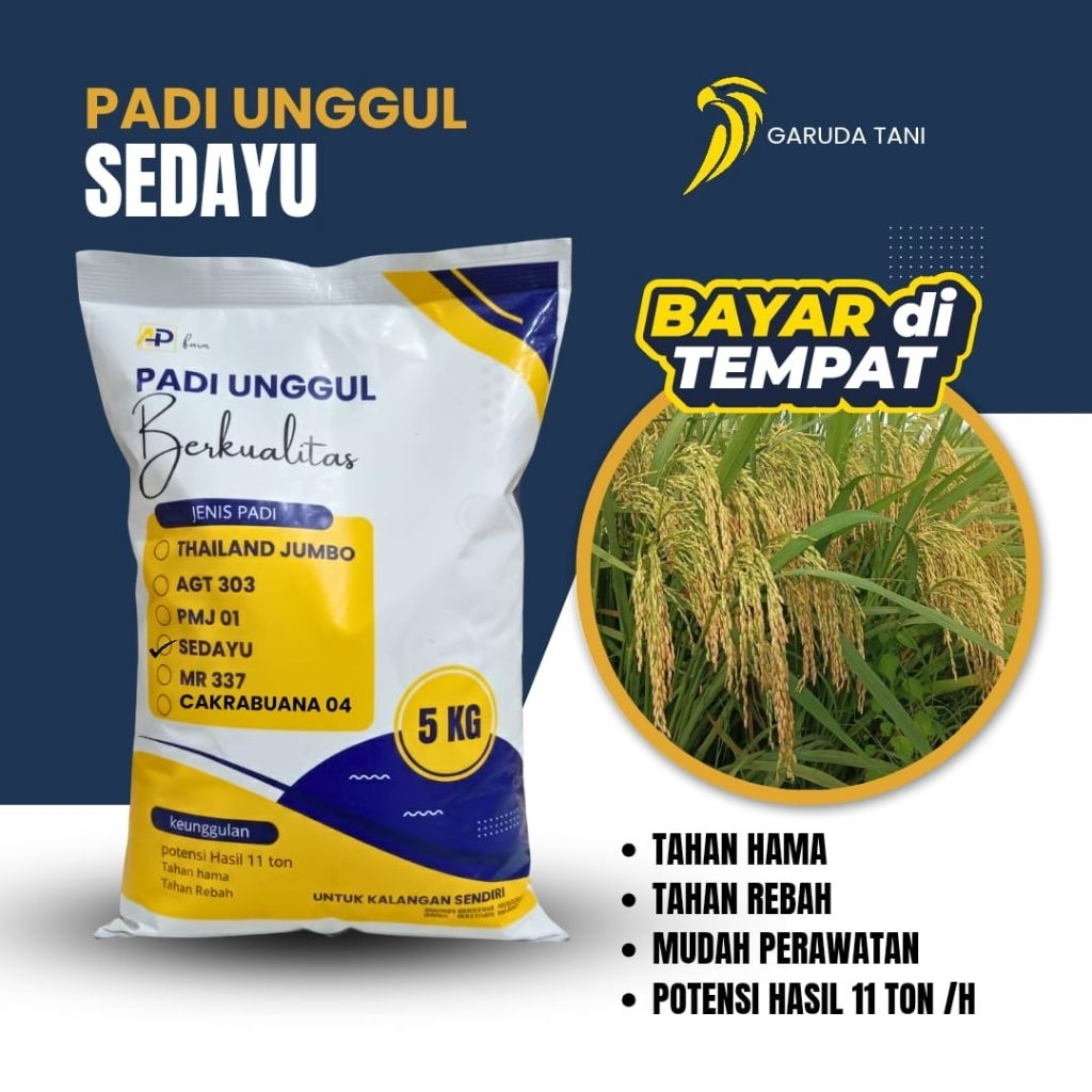 BENIH PADI SEDAYU  KEMASAN 5KG