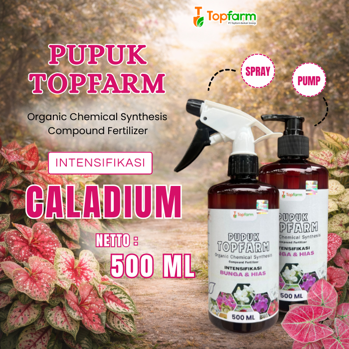 Pupuk Tanaman Hias Keladi / Pupuk Penumbuh Tunas Keladi / Pupuk Tanaman Keladi / Pupuk Topfarm / Pup