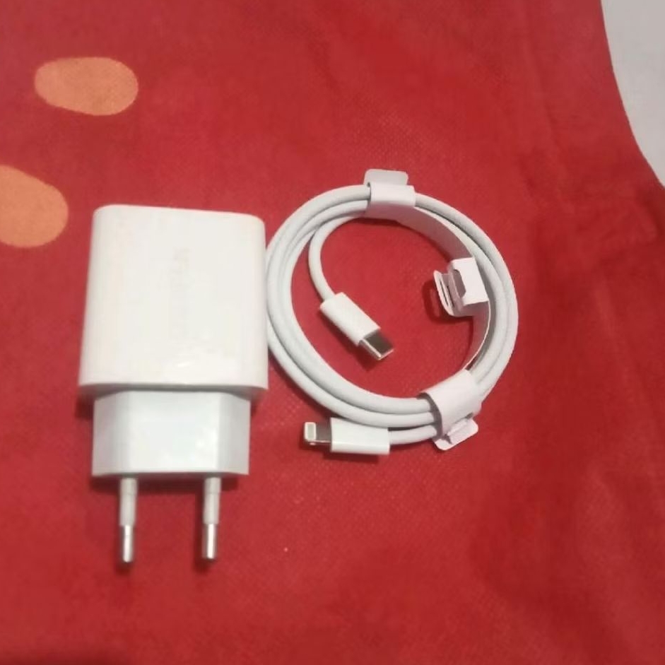 Charger iPhone X Xr Xs Xs Max Se Original Copotan UGREEN 20WATT