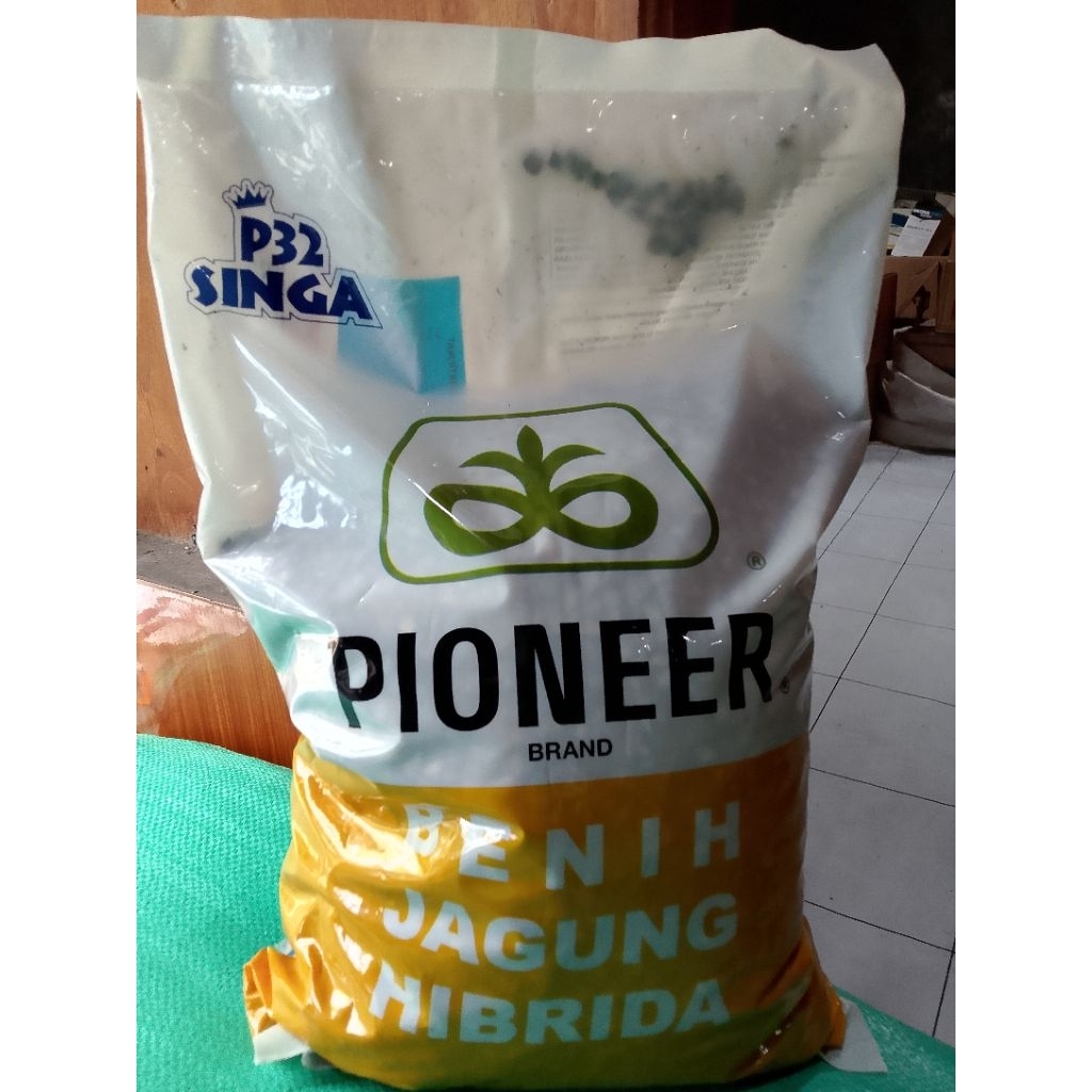 Biji Jagung Hybrid Pioneer P32 Singa 5kg - Tahan Hama, Tinggi Protein, Mudah Dipanen