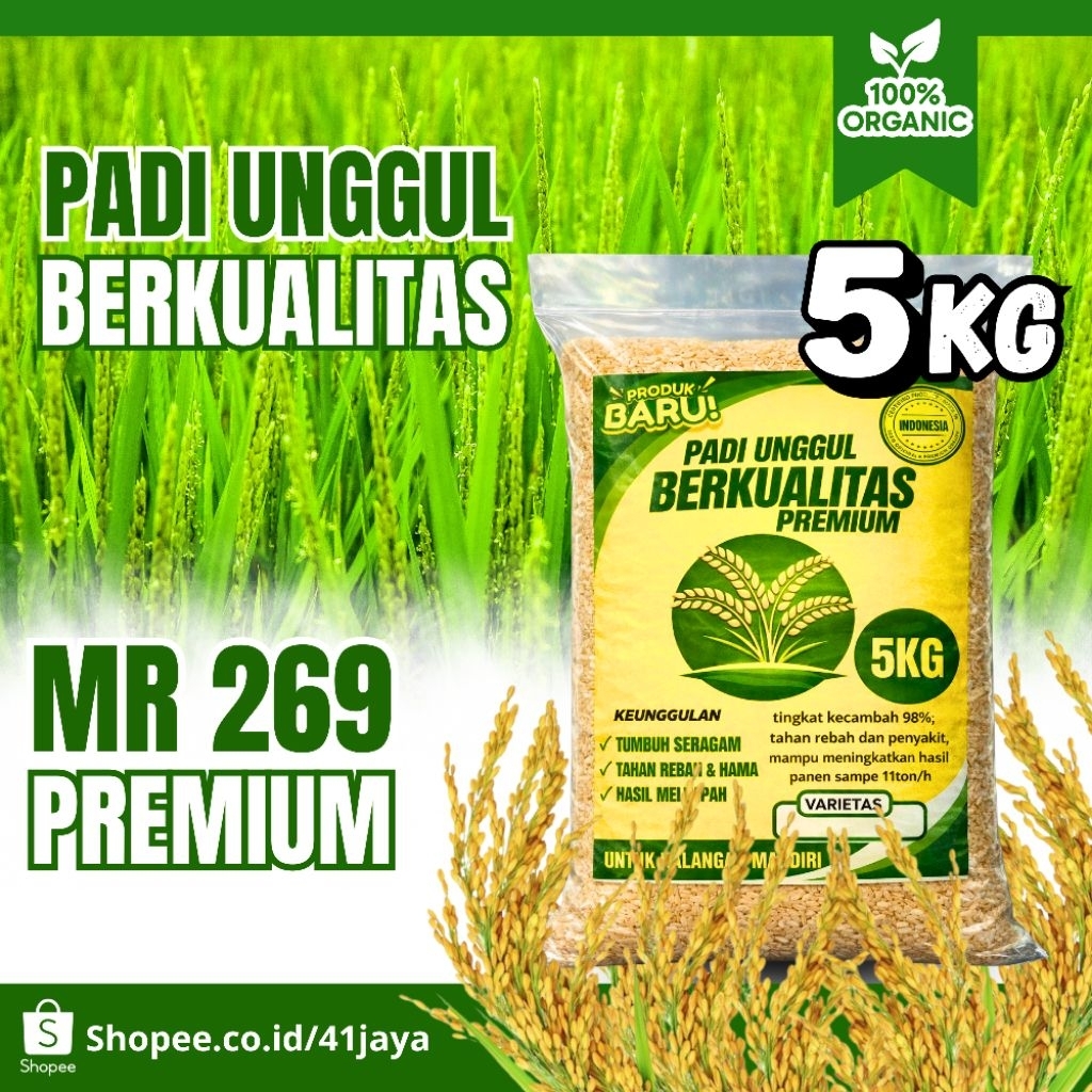 Benih padi unggul MR 269 original 5kg