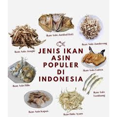 Aneka Ikan Asin Varian Teri Medan Cumi Rebon Petek Layur Tongkol 100g Segar Kering