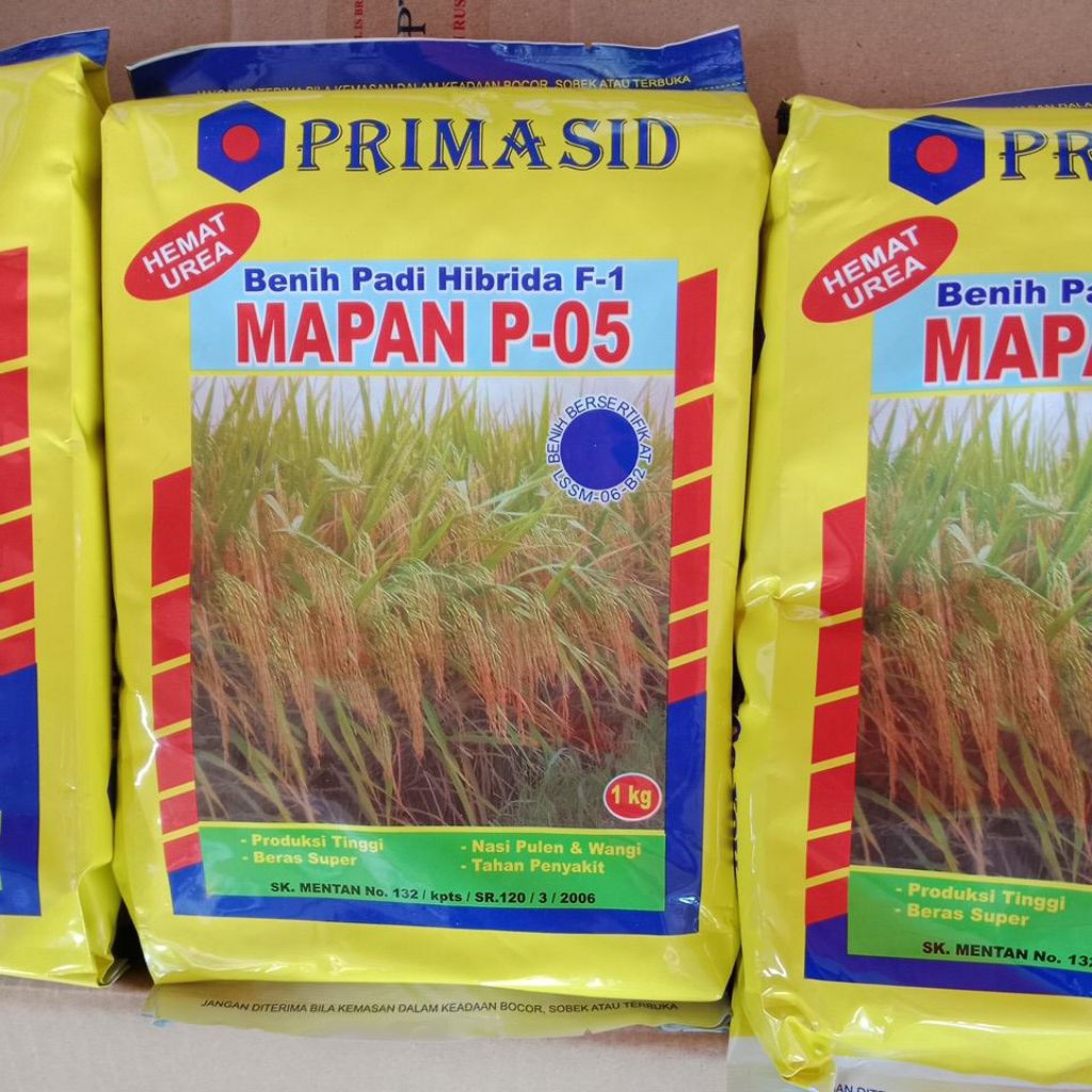 Benih Padi Hibrida Mapan 05