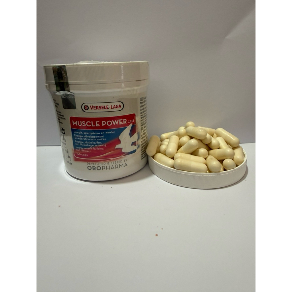 muscle power kapsul untuk menguatkan otot merpati jual per 10 kapsul