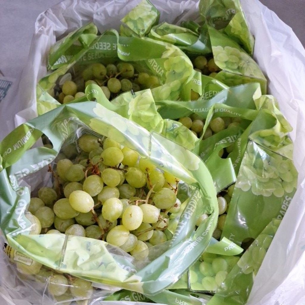 Buah Anggur Hijau Africa 1 Dus Anggur Garing Manis Anggur Crunchy Crispy Lebih Mantap dari Anggur Mu