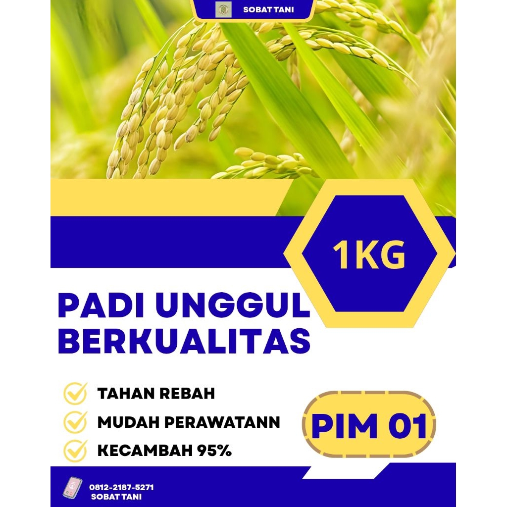 Benih Padi Unggul PIM 01 1KG ORIGINAL BERKUALITAS TINGGI