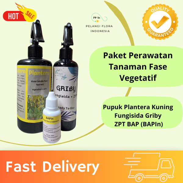 Paket Perawatan Tanaman Fase Vegetatif. Hormon BAP, Pupuk Plantera Hijau Untuk Tanaman Fase Vegetati