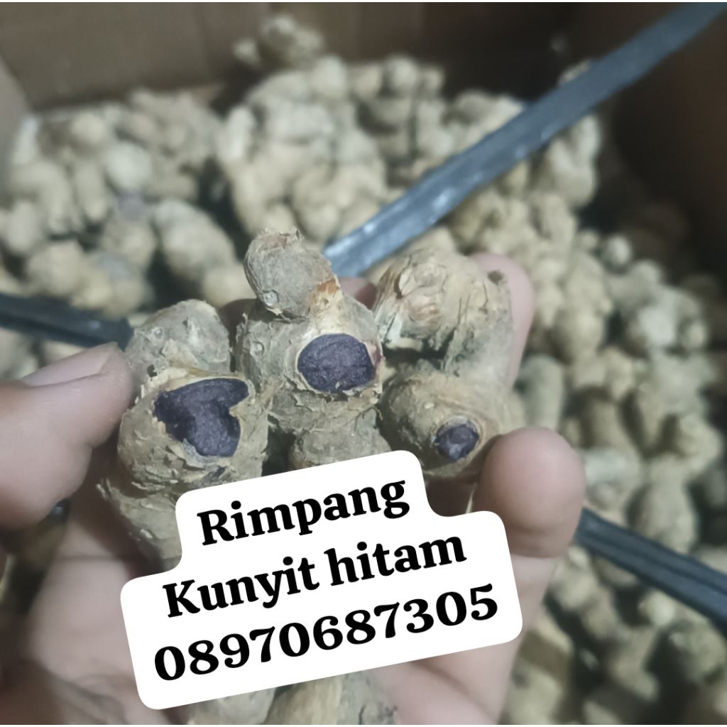 Kunyit Hitam Asli 1kg Antioksidan Tinggi, Meredakan Nyeri, Membantu Imunitas