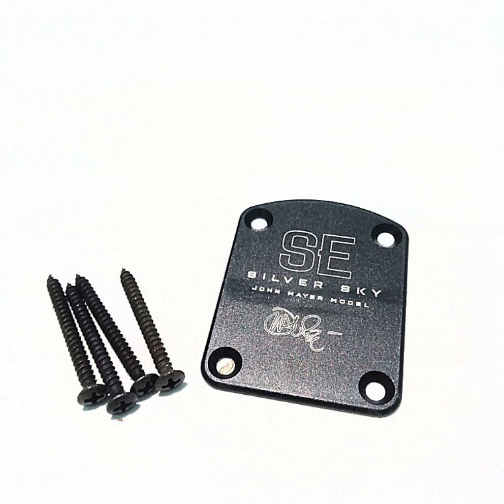 plat join PRS silver sky John mayer