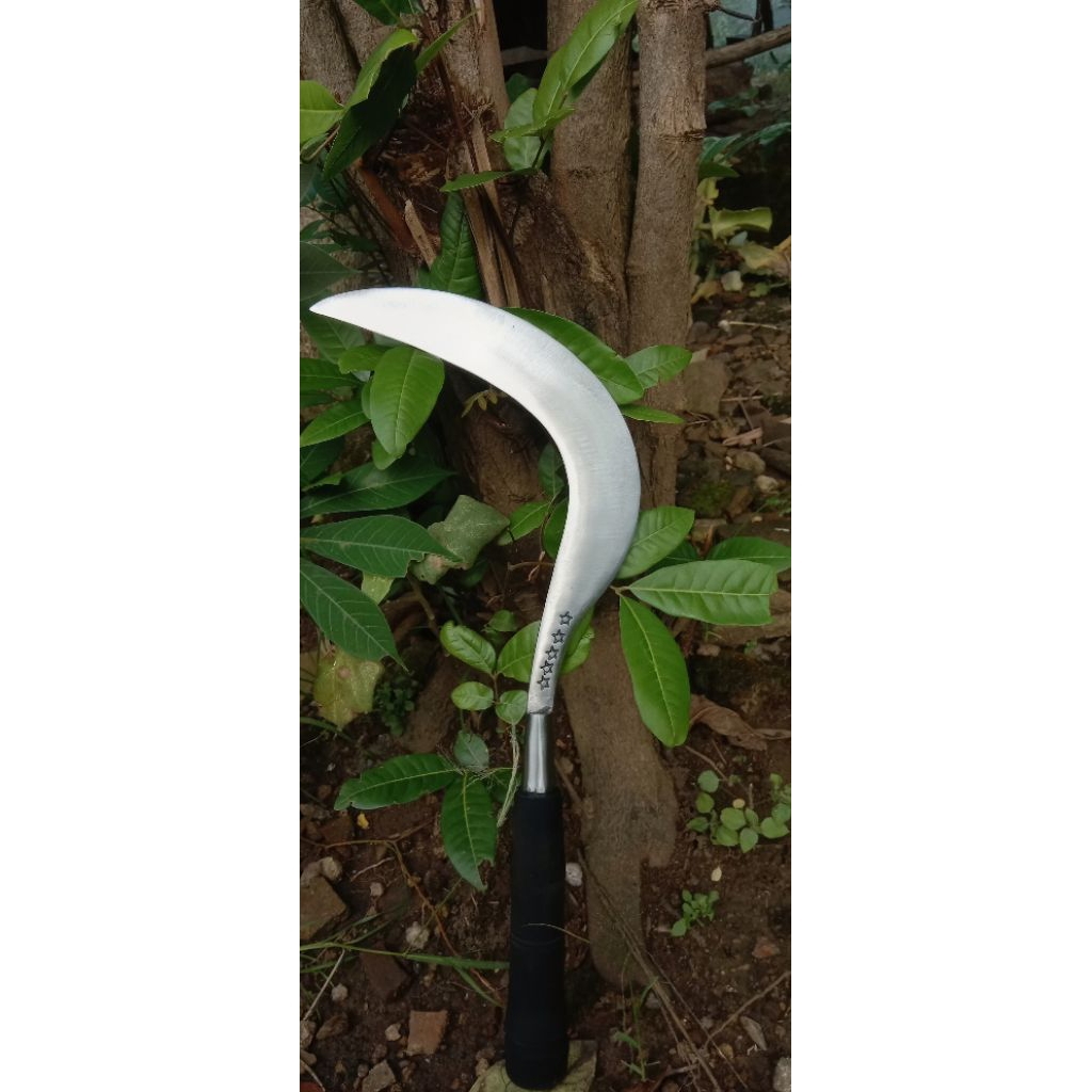 arit/sabit rumput cap bintang5 dari baja super asli madura