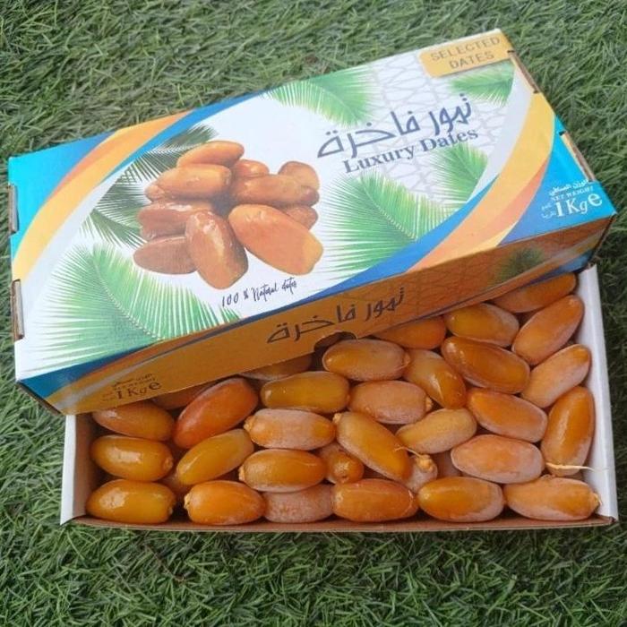 Kurma Setengah Matang Beku | Kurma Ruthob  Kurma Muda Setengah Matang Ruthab Libiya Isi 1Kg Asli Lib