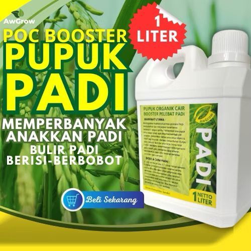 Pupuk Organik Cair / Pupuk Organik Cair Pupuk Padi Pelebat Anakan Padi atau Bulir Padi
