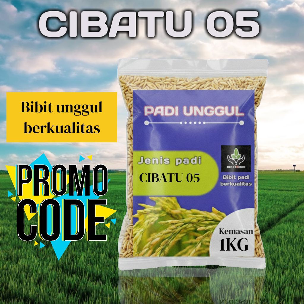 BIBIT PADI UNGGUL CIBATU 05 ORIGINAL KUALITAS PREMIUM KEMASAN 1 KG