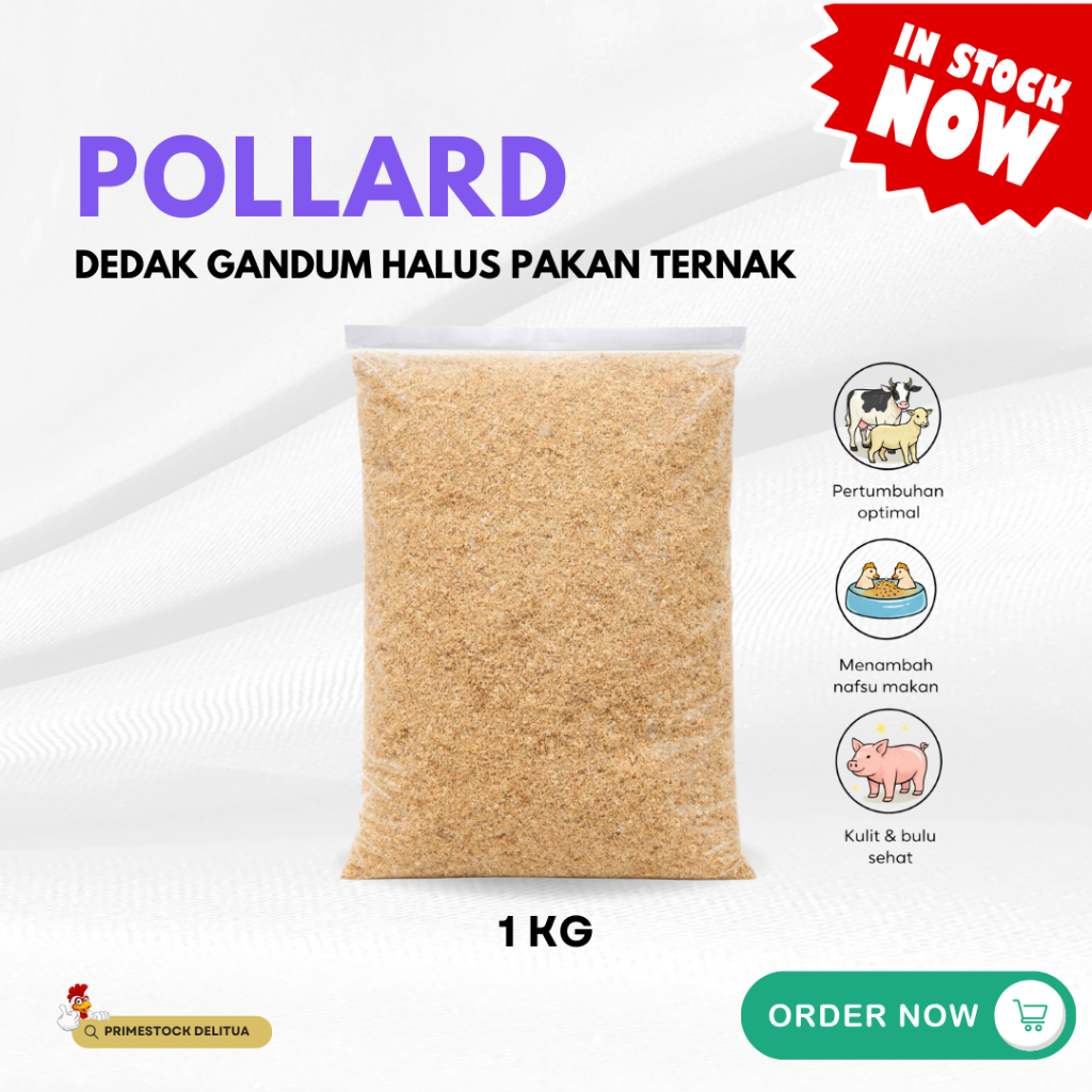 Pollard Tongkat Emas 1kg - Dedak Gandum Halus Pakan Ternak Sapi, Kambing, Itik, Ayam