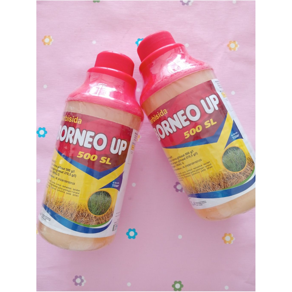 TERMURAH HERBISIDA BORNEO UP 500 SL 1 Liter