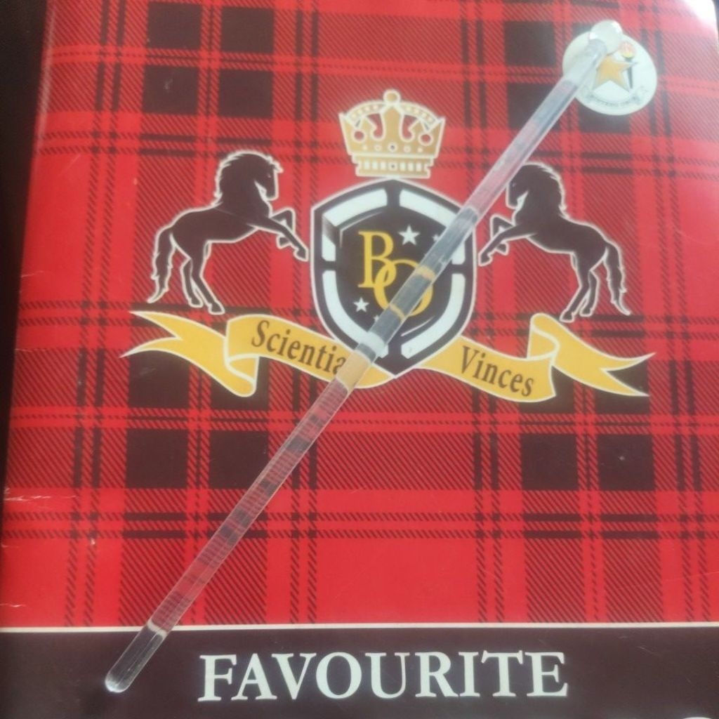 alat pengaduk kopi // alat pengaduk restoran