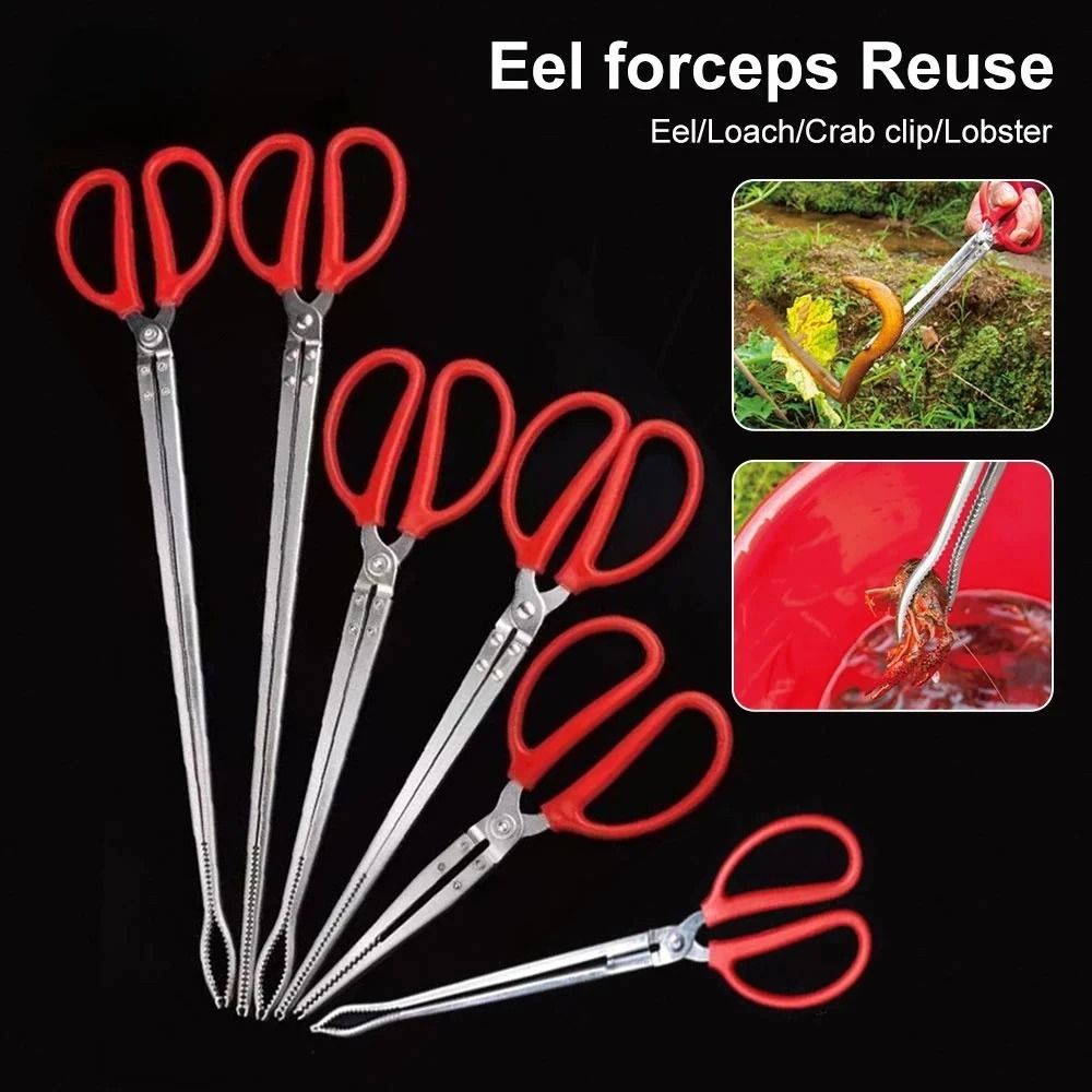 Capit Belut - Capit Belut Super Kuat - Lobster Kepiting