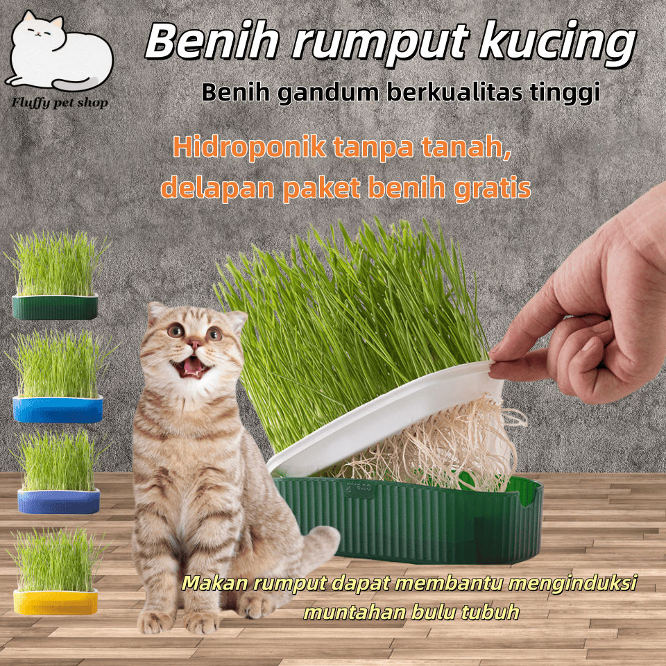 rumput kucing Kit Penanaman Benih Rumput Kucing Rumput Gandum Kualitas Tinggi Rumput Kucing Dilengka