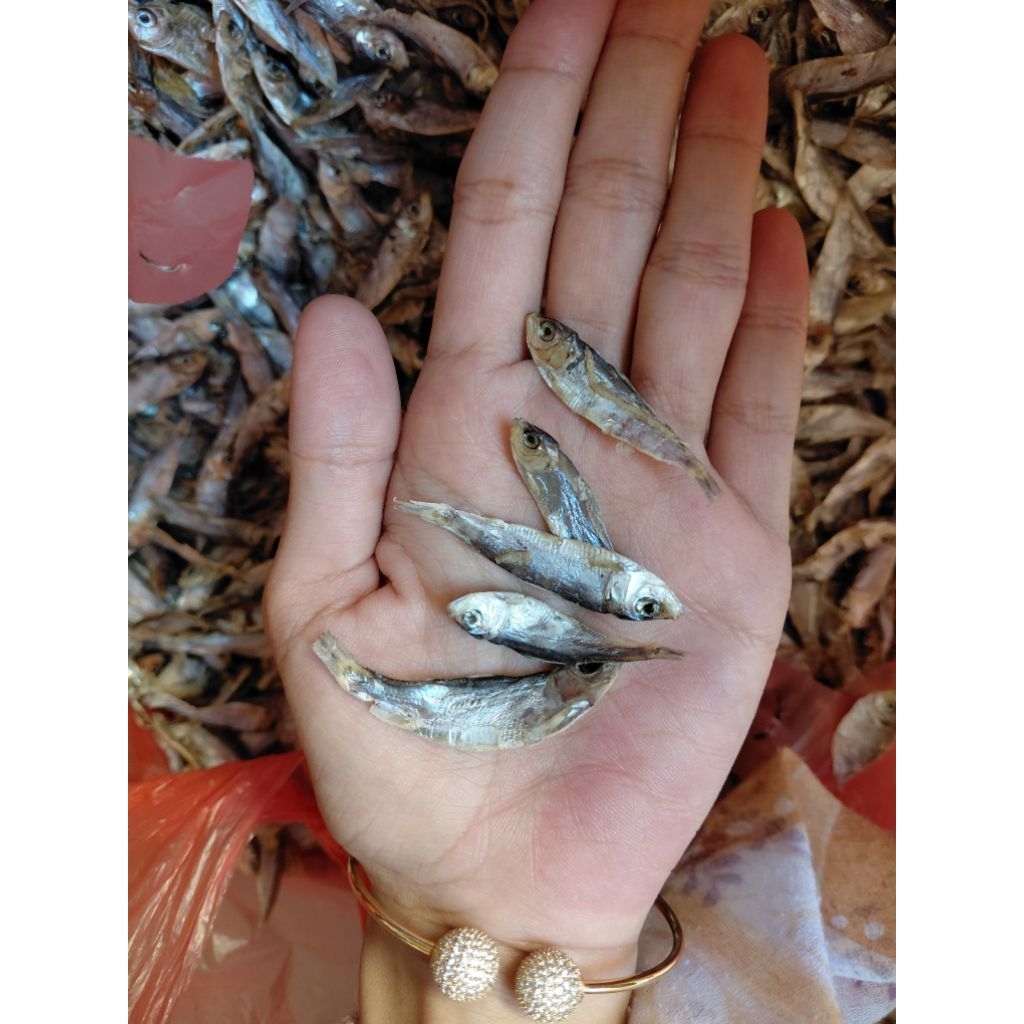 1KG Ikan Semenit Tawar Kering Termurah