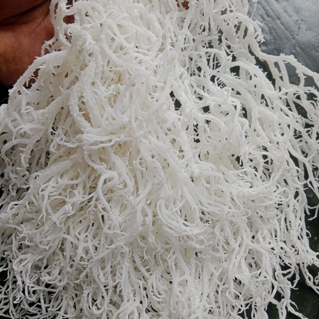 1Kg Spinosum Rumput Laut Kering Untuk Es Campur