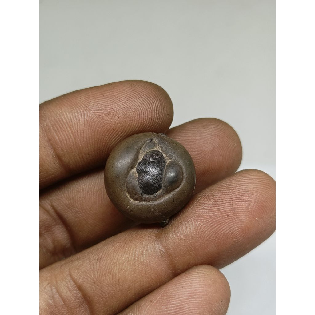 temuan batu kepikmimi cocok buat mata cicin liontin