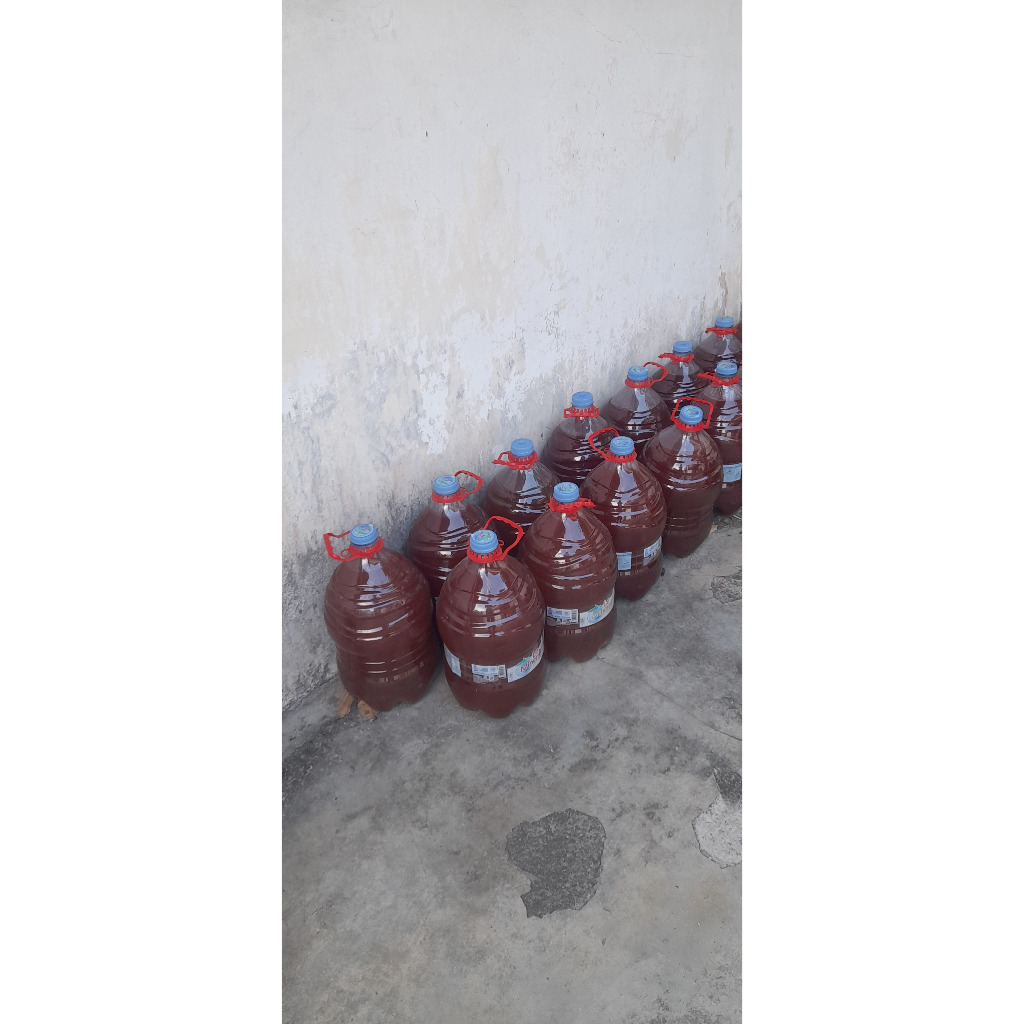 PROMO MURAH 1,5 Liter !!!! P.O.C. Bacteri Photoshyntetic ( PSB ) Pupuk Organik Cair / Biang PSB / Bi