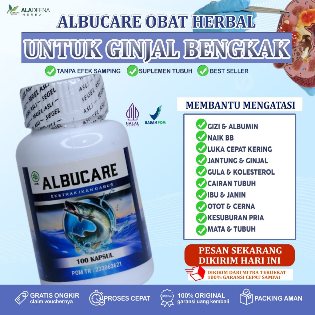 ALBUCARE Kapsul Ikan Gabus Untuk Mengatasi Kreatinin Ureum Tinggi Dan Ginjal Bengkak