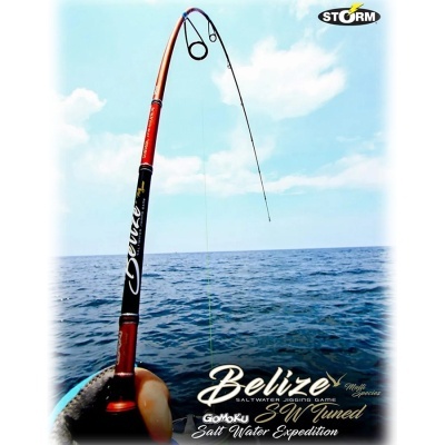 ROD / JORAN STORM GOMOKU ( SW TUNED) BELIZE GOBS631L SPINNING, PE 0.8-1.5, 190cm, Jig Max 120gram ( 