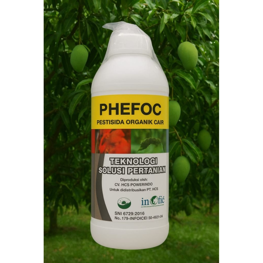 obat hama tanaman mangga-Hama batang pohon mangga-Fungisida untuk mangga-PHEFOC HCS
