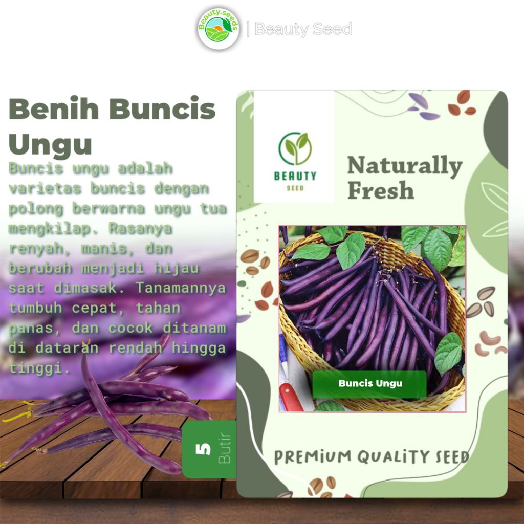 5 Benih Buncis ungu Siap Semai - Bibit Unggul Buncis Purple Buncis Ungu Phaseolus vulgaris