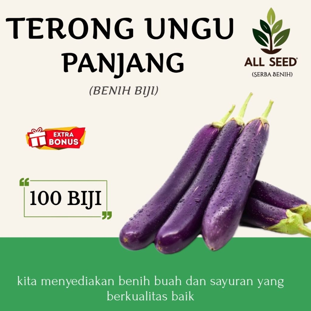 ( 100 biji ) Benih terong ungu panjang | bibit biji terong ungu | terong ungu panjang