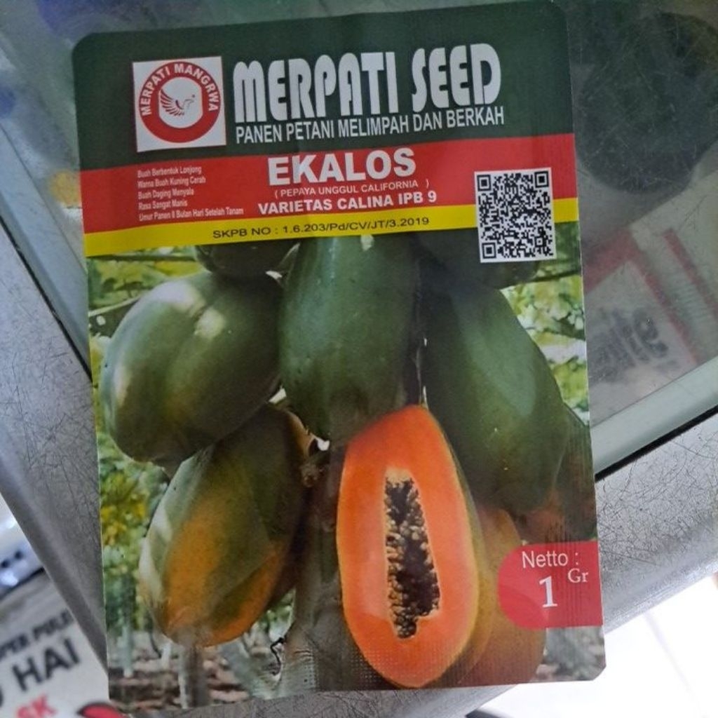 Benih/Bibit Unggul Pepaya Kalifornia/California Ekalos isi 1g Varientas Calina IPB 9