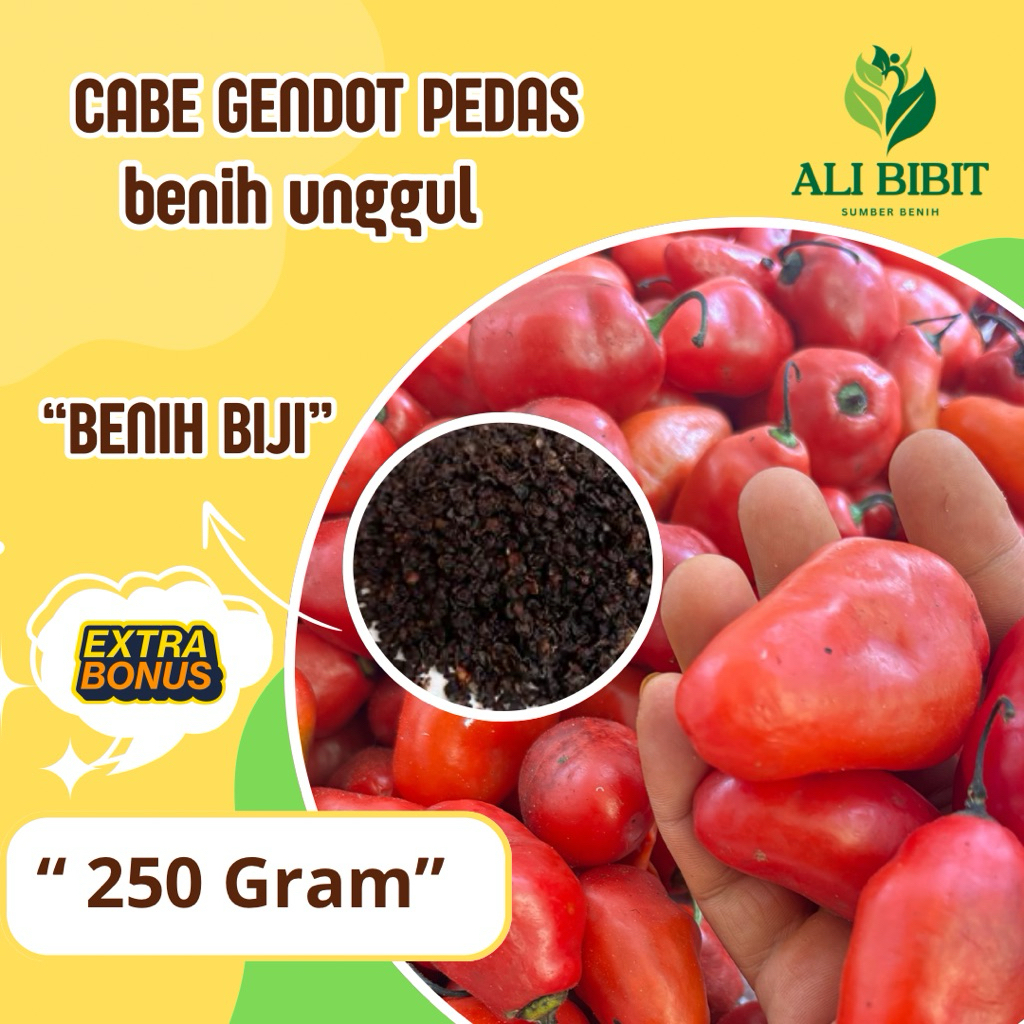 250 Gram> Biji Cabe Gendot>Bibit Benih Cabe Gendot Pedas>Bonus Benih