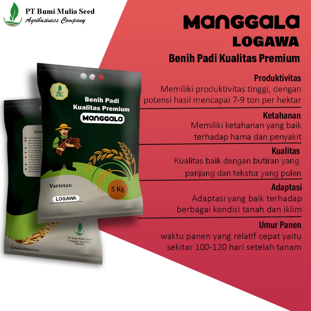 Benih Padi Manggala Logawa (5 kg)