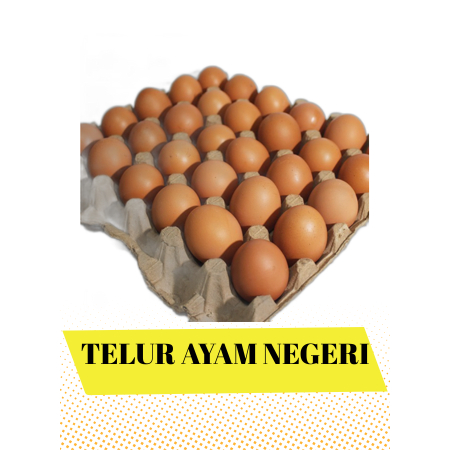TELUR AYAM NEGERI CURAH PER KG