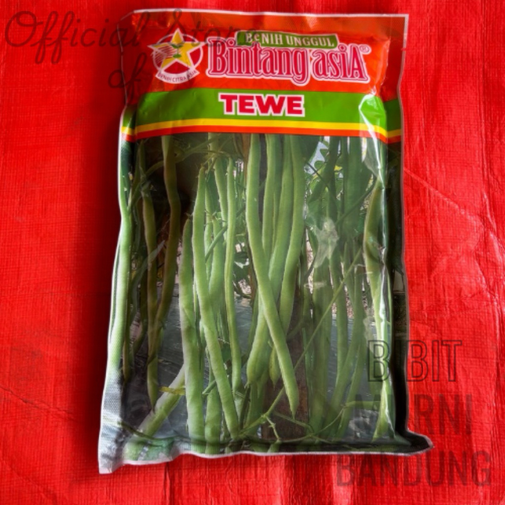 BUNCIS BINTANG ASIA TEWE 500GR