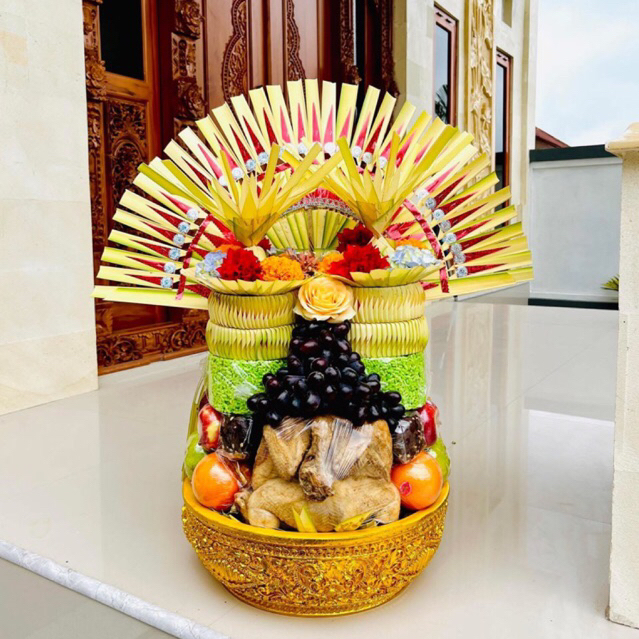 NEW BOKOR TUNJUNG FIBER SIZE 32 & 35CM