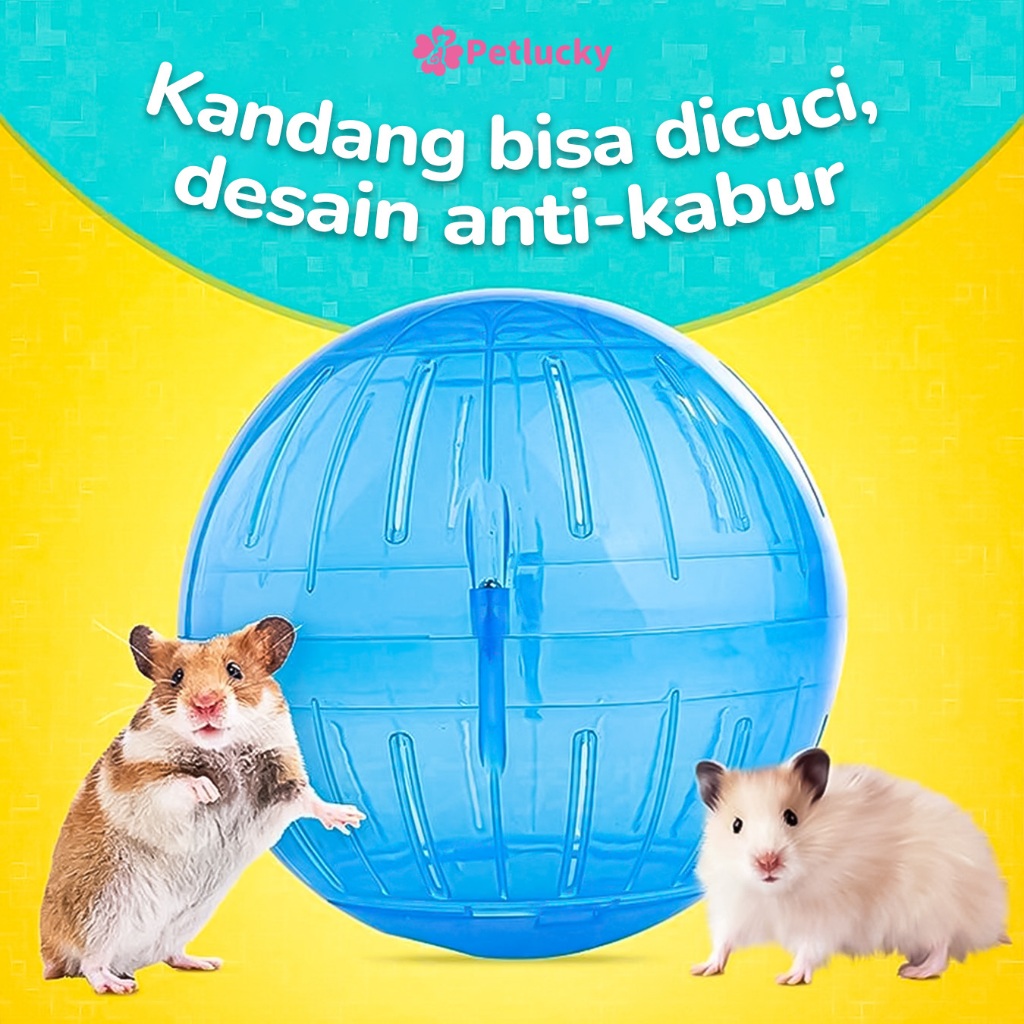 PetLucky Hamster Jogging Ball Bola Lari Anti Kabur Transparan Olahraga Hewan Peliharaan Bisa Instant