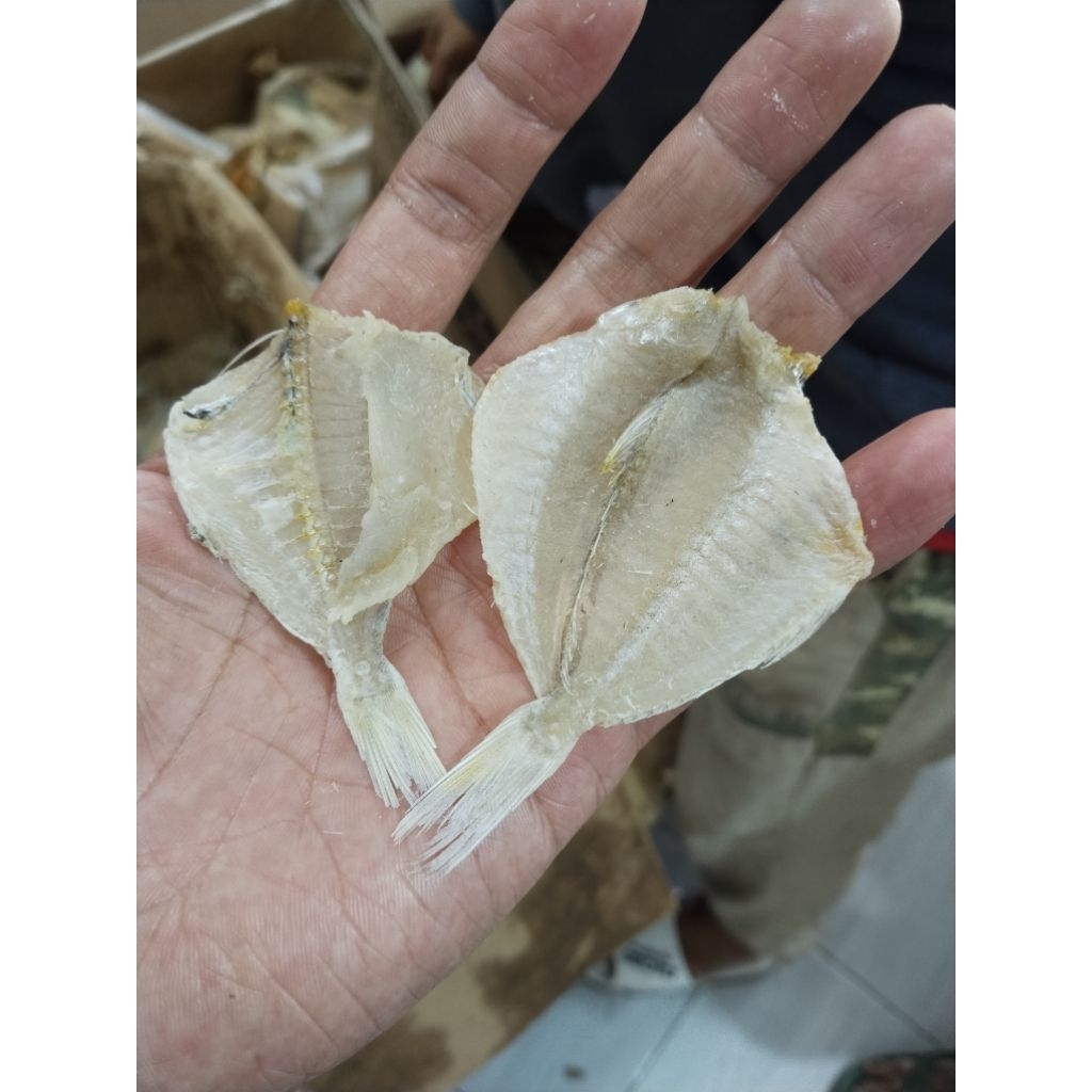 ikan asin kapasan/kapasan TAWAR