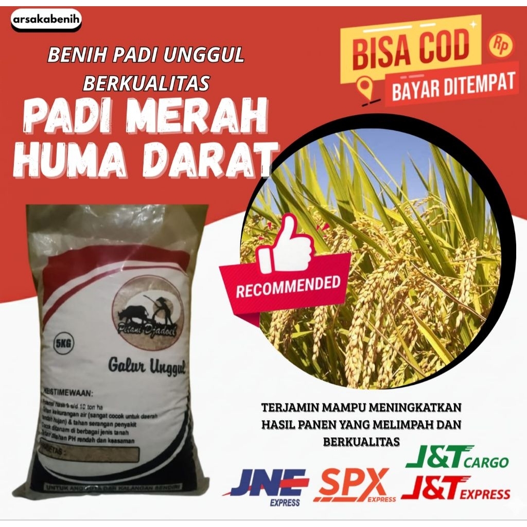 BENIH PADI UNGGUL BERKUALITAS PADI MERAH HUMA DARAT 5kg
