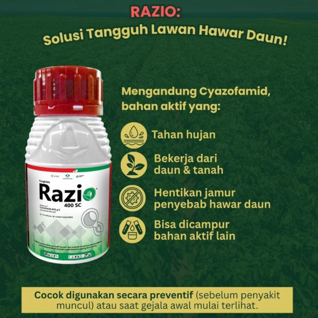Fungisida Razio 400 SC Cyazofamid 400 g/L Obat Jamur Sistemik Preventif & Kuratif Tanaman Jagung Ken