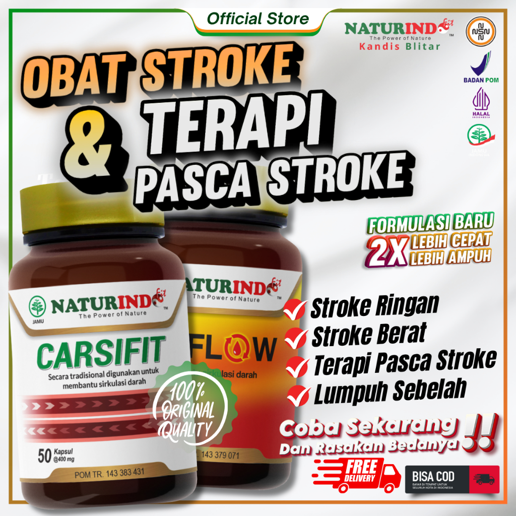 OBAT STROKE RINGAN BERAT LUMPUH KANAN KIRI TERAPI PASCA STROKE HERBAL CARSIFIT ORI NATURINDO