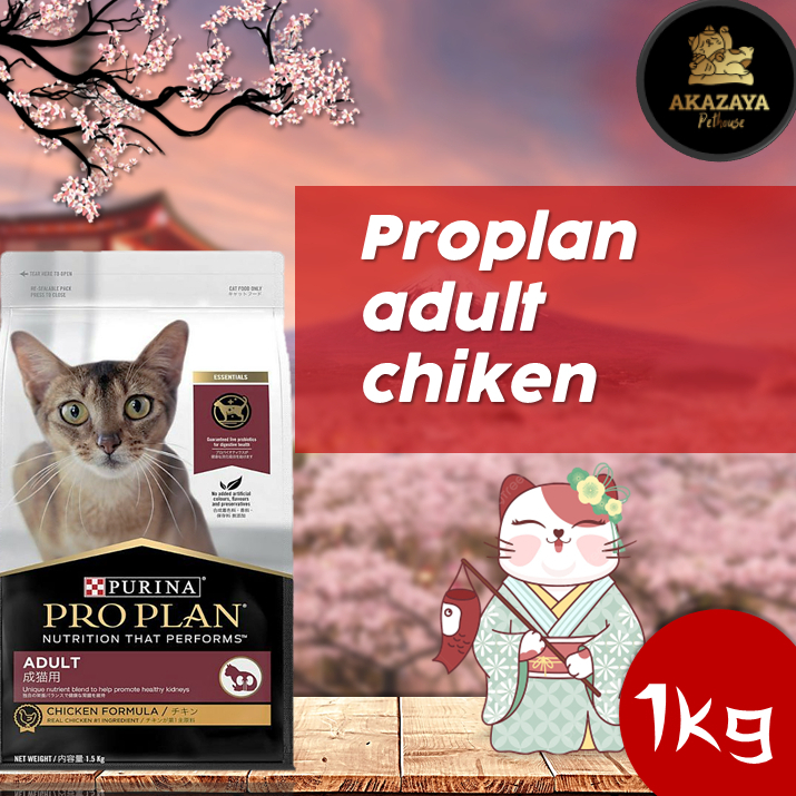 PROPLAN ADULT CHICKEN | PROPLAN ADULT CHICKEN KEMASAN 1KG REPACK | MAKANAN KUCING PROPLAN ADULT CHIC