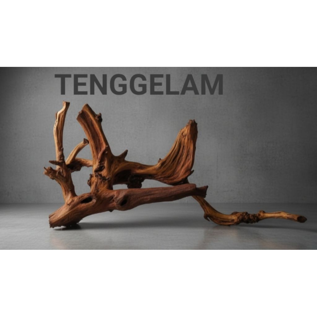 Mantulbee Bonggol Kayu Aquascape Tenggelam Jumbo