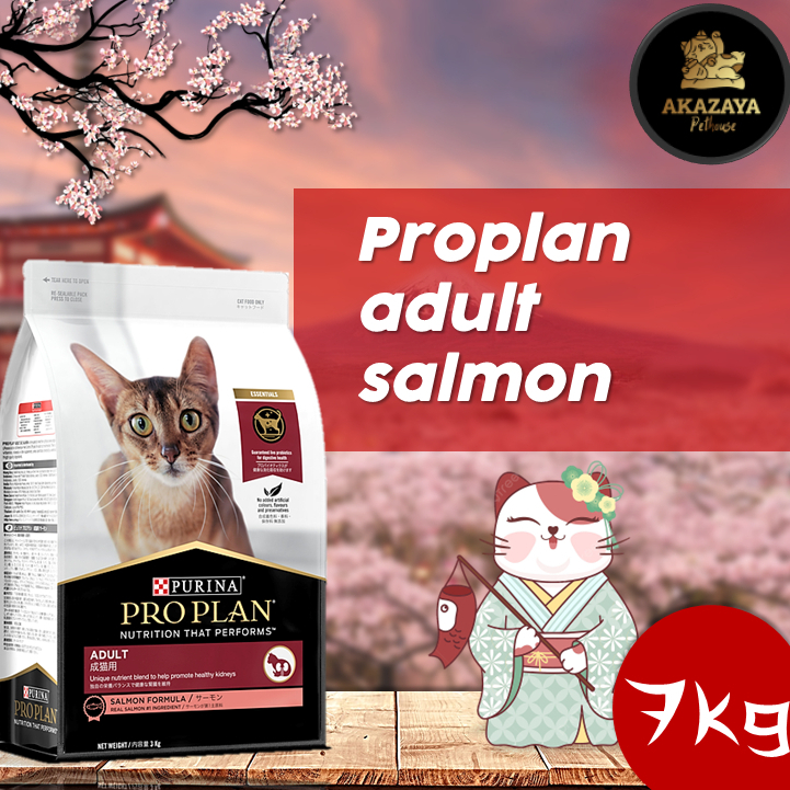 PROPLAN ADULT SALMON | PROPLAN ADULT SALMON KEMASAN 7KG REPACK | MAKANAN KUCING PROPLAN ADULT SALMON