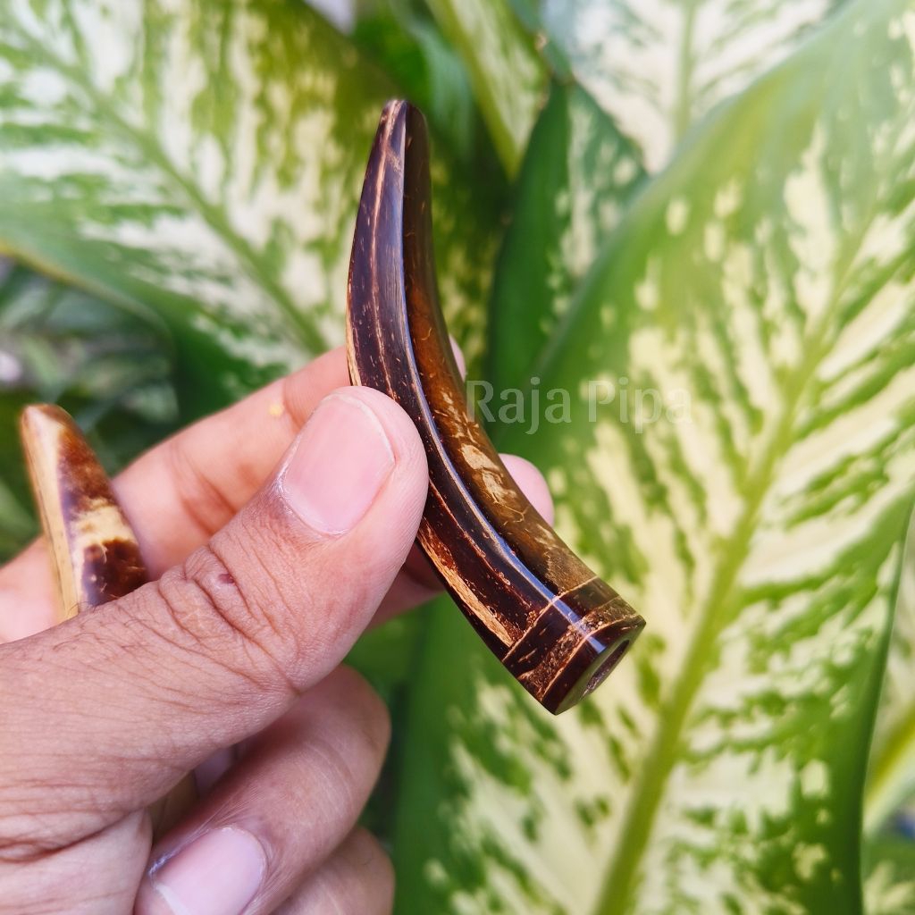 Once cangklong kayu batok asli