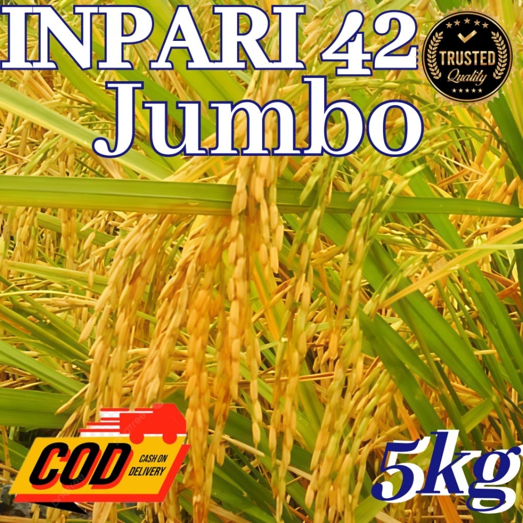 BIBIT BENIH PADI INPARI 42 JUMBO/GSR  BERKUALITAS UNGGUL KEMASAN 5 KG