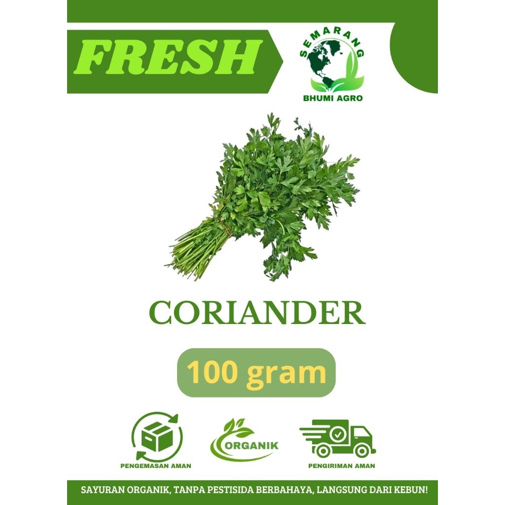 Coriander/ Wansui/ Daun Ketumbar Segar & Organik – 100gr | BHUMI AGRO