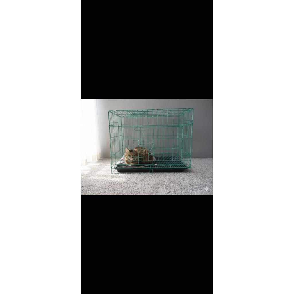kandang kucing 60x50x40